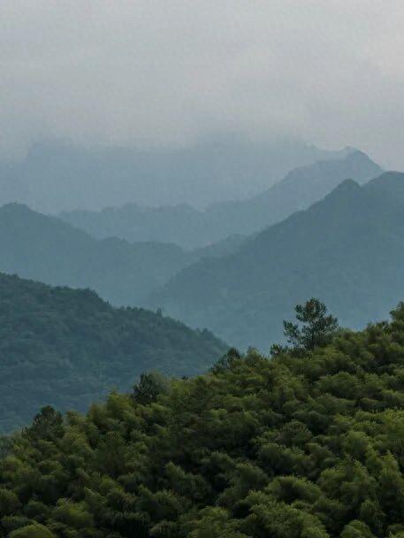 黄山奇遇记：冬观候鸟，野探短尾猴，一场徒步自然的探索之行