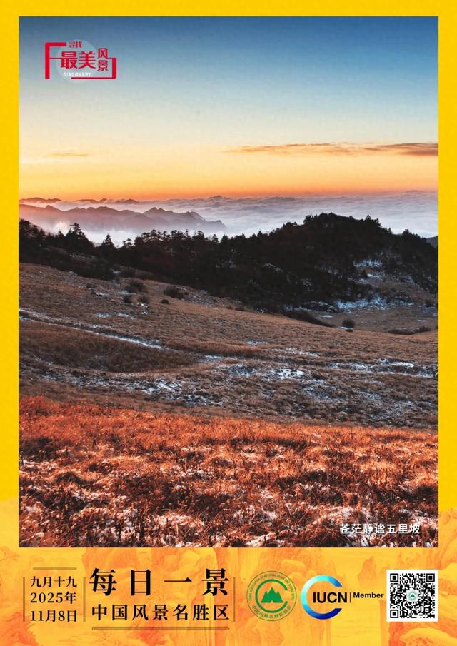 每日一景 | 苍茫静谧五里坡