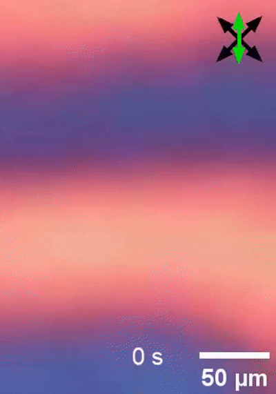 科学家打造出全球首个肉眼可见“时间晶体”