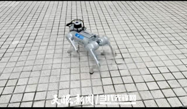 聚焦数贸会 | 工匠行：机器狗能听会说还会自主巡逻