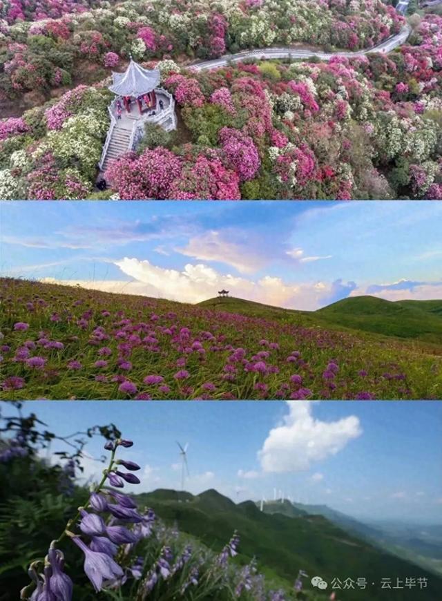 最高奖金50000元！所有人可参与