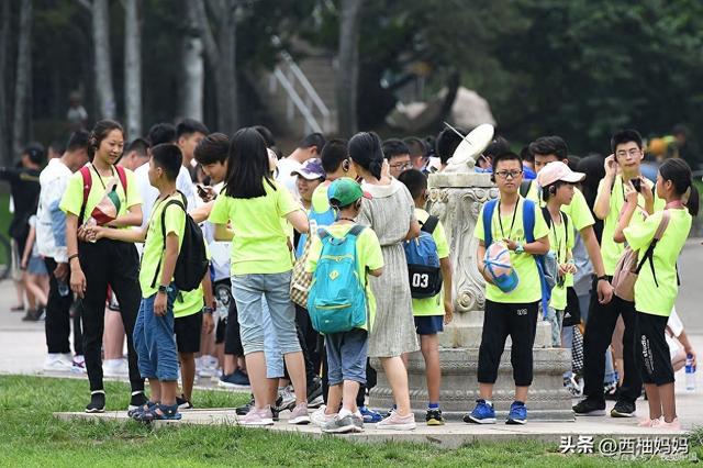 研学项目四大核心弊端与避坑指南：让每一分钱都花在刀刃上