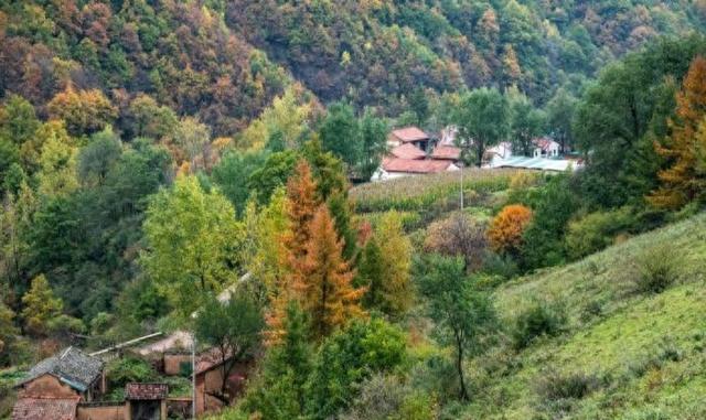 华亭关山多彩林海 解锁陇东最浓秋意