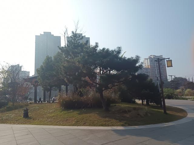 生肖猪：不出七天，将有一“远方故交	”找上门 	，他是你家孩子的福