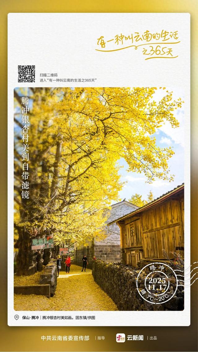 腾冲银杏村，美到自带滤镜→