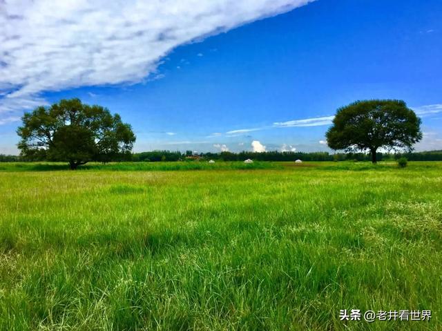 夏日再向草原行（三）内蒙古之行 文‖井明新