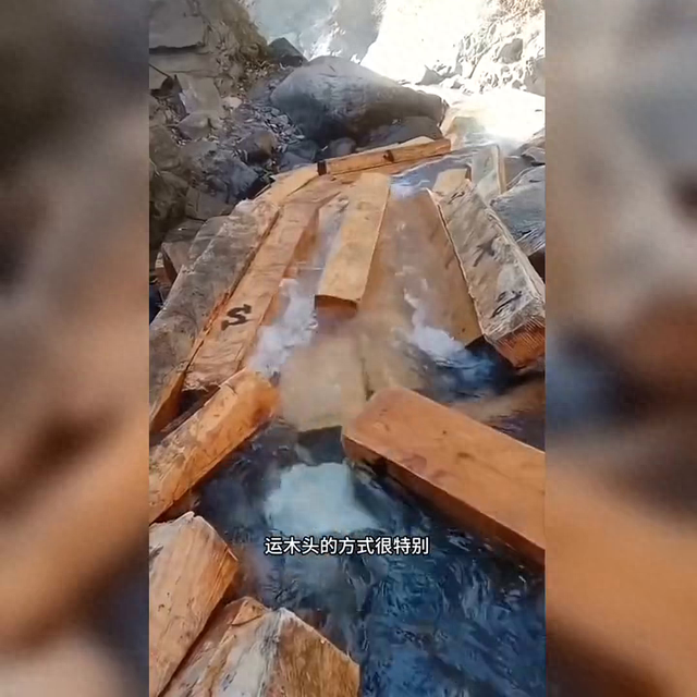 运输木材攻略（巴基斯坦人怎样运送木材这些方法太巧妙了）