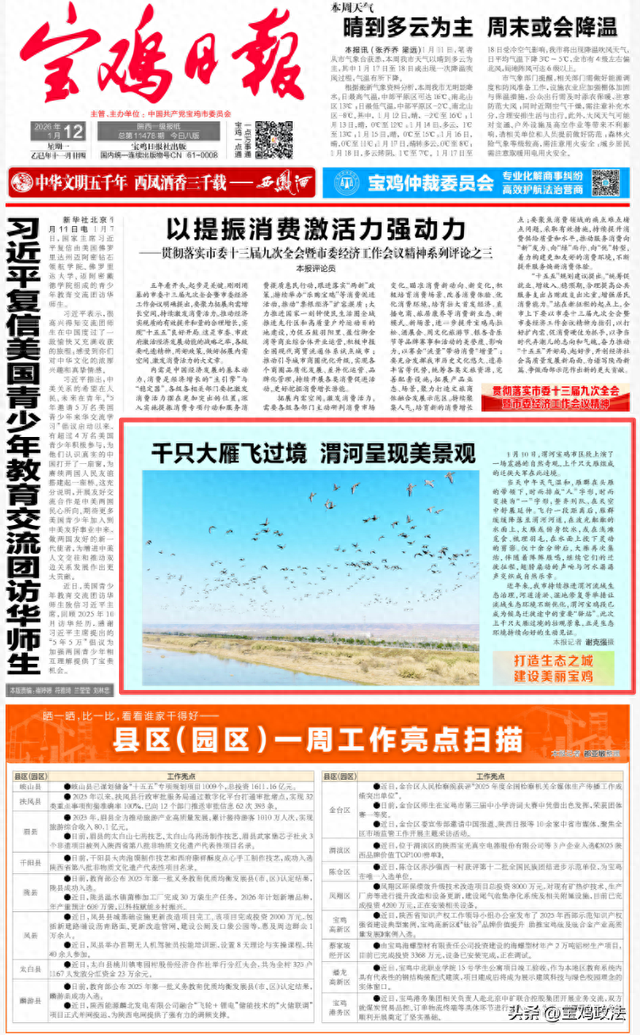 千只大雁飞过境 渭河呈现美景观