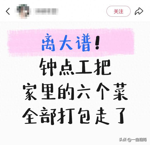 离大谱！钟点工把六个菜全部打包带走了！网友：用人久了就得换