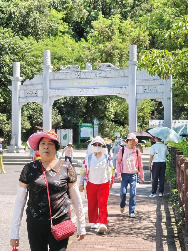 2025年广东省自然教育季圆满落幕：24.7万人次共赴自然之约