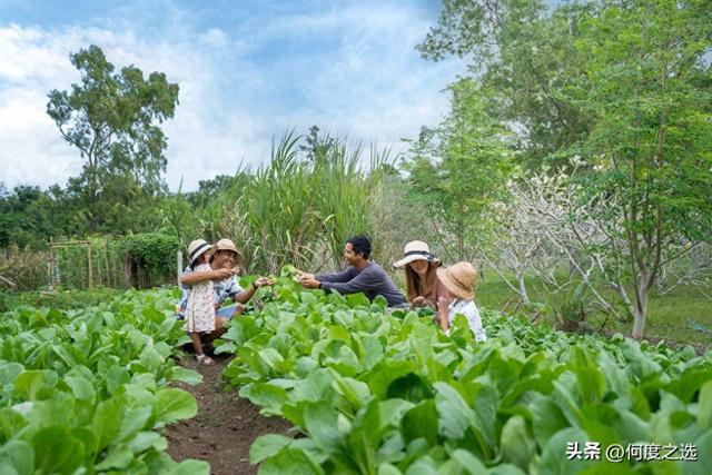 巴厘岛阿雅娜荣获EarthCheck金徽认证
