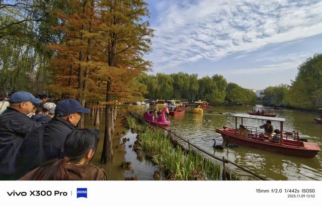 洛阳市：从政坊游园黑天鹅嘻戏