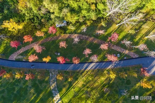 寻找大理海西的最美绿道,色彩缤纷秋意盎然,目测已经开始落叶啦
