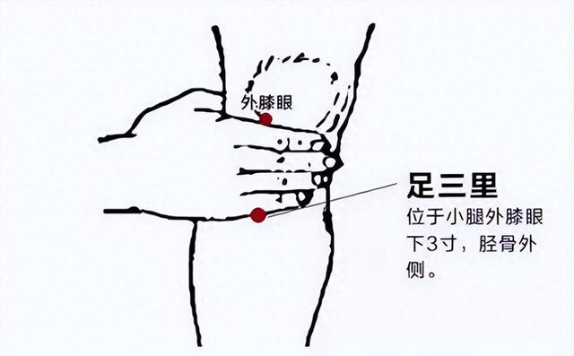 体质太差的人一定要先补脾胃！中医健脾秘诀全奉上~