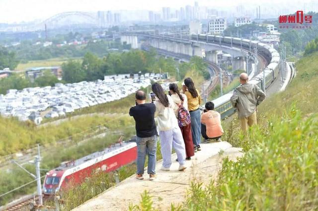 可俯瞰动车穿行山野，广西一山顶机位走红！紧急提醒：非景区，尚未开发
