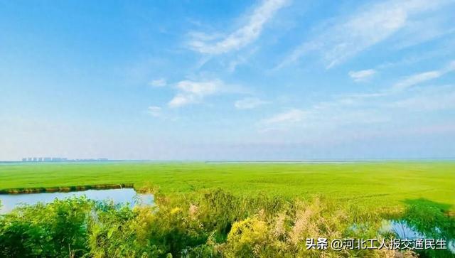 免票！免票！就在明天！河北多家景区官宣→