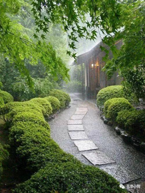 初秋雨中的景让人朦胧迷离，丝丝凉意掠过心田，别样滋味涌上心头
