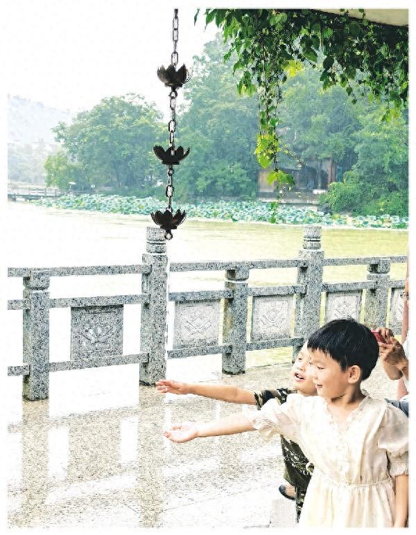 桂林公园里的海绵故事