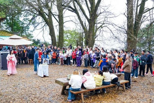 秋假“开门红”！ 蒙顶山迎来首批“尝鲜”学子