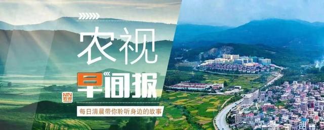 浙江救援人员迎面遇到安徽“同行”：你们也是来找他俩的？曾代表中国接受21万日军投降的孙蔚如将军儿子和重孙参观武汉受降堂｜来听新闻
