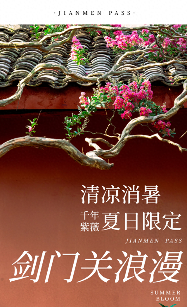 一秒入画！千年紫薇花，打卡夏日限定的剑门关浪漫