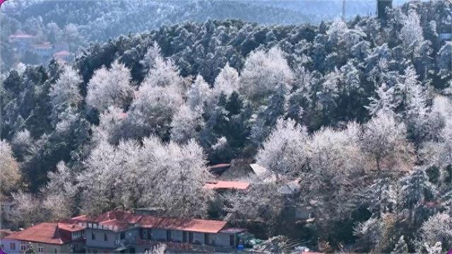 秋叶挂“冬霜” 江西庐山迎来2025年入冬首场雾凇