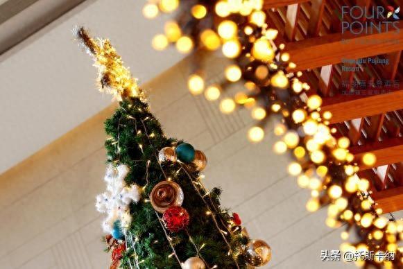 “爪爪心愿·暖冬童话夜”圣诞亮灯温情启幕萌宠与爱共绘冬日美好