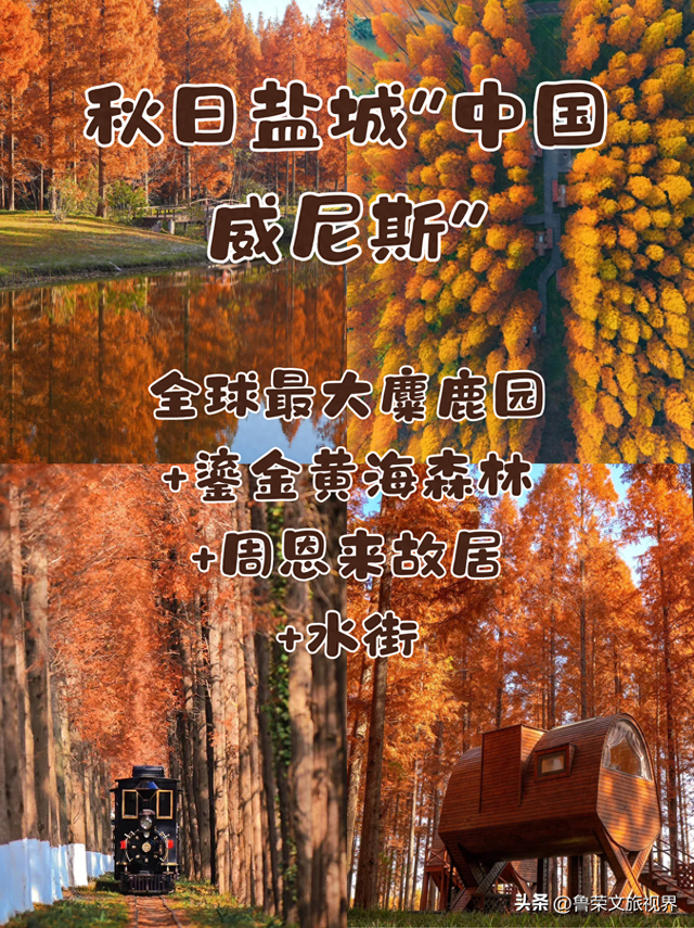 盐城秋日封神攻略：解锁东方湿地的诗意与壮阔