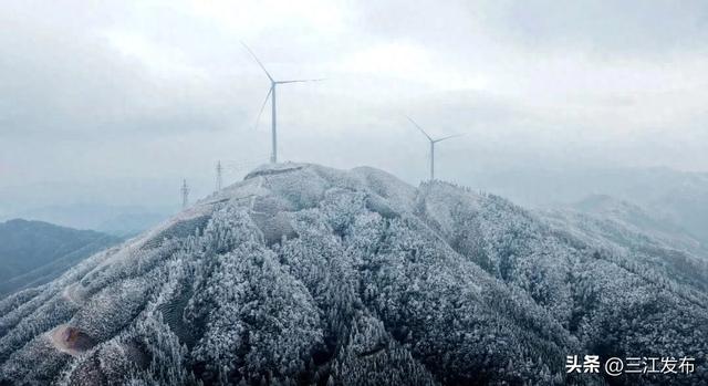 寒潮“炫技”成功！三江这地方浪漫值拉满