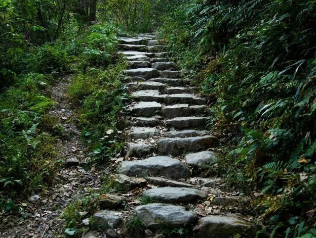 富阳3条古道，全省出名了！经过你们村吗？