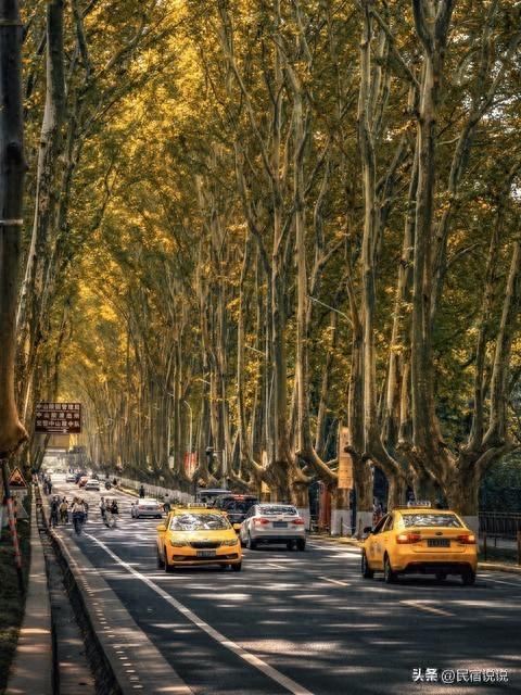 南京在大寒里突现“名场面”，据说都藏在这里，超值得玩。