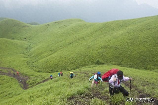 带10岁女儿登山，她冲向山顶时我浑身冰凉：“爸爸，别再推我了”
