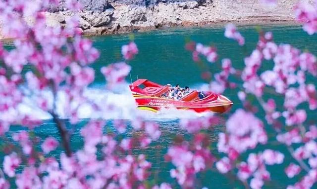 河南这些景区，向所有女士免门票