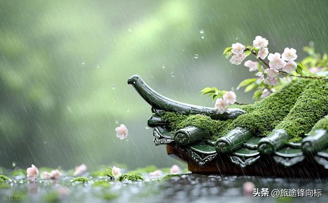 梅子黄时竟不是雨季？南宋诗人私藏的江南秘境，古道藏着初夏时光