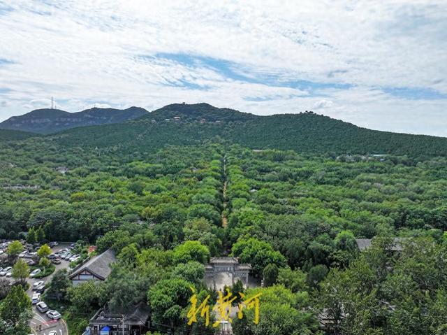 登千佛山，寻一抹济南最动人的秋色 | 新黄河AI音乐