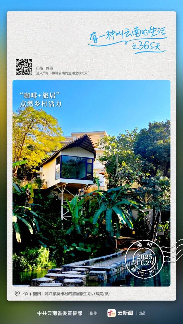有一种叫云南的生活之365天丨“咖啡+旅居”，梦想照进现实