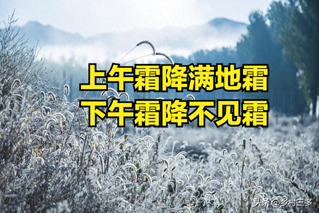 “上午霜降满地霜，下午霜降不见霜”，今年霜降几点？有啥说法？