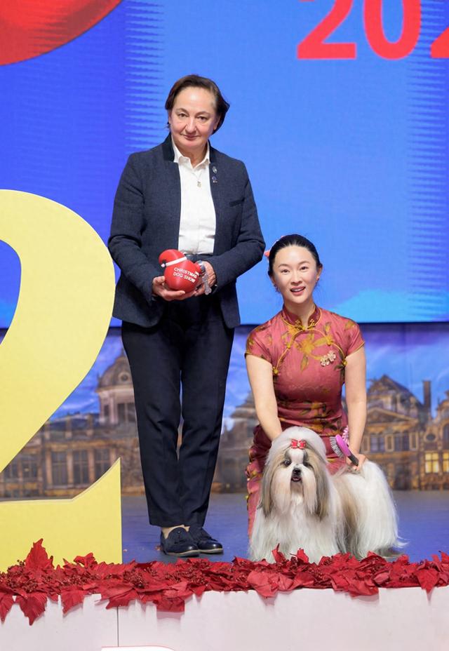 霍思燕同志个人简历