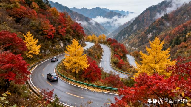 守护秦岭秋冬之美！陕西省旅行社协会自驾游专委会发生态旅行倡议