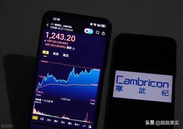 惊！寒武纪市值破 5000 亿，背后原因大揭秘