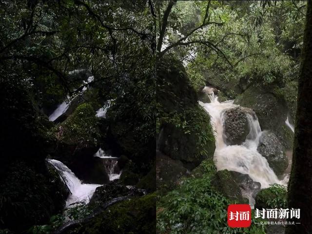 游客遇青城山后山溪水猛涨 景区回应：目前已封闭，暂不确定开放时间