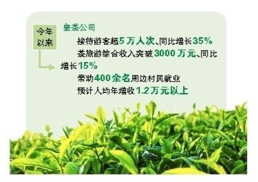 以文化为魂 以茶香为骨