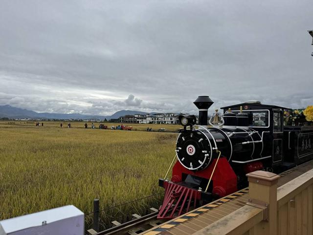 【外眼看云南】柬埔寨顶流姜思倪携家人圆梦云南：喜洲麦田小火车童趣飞扬