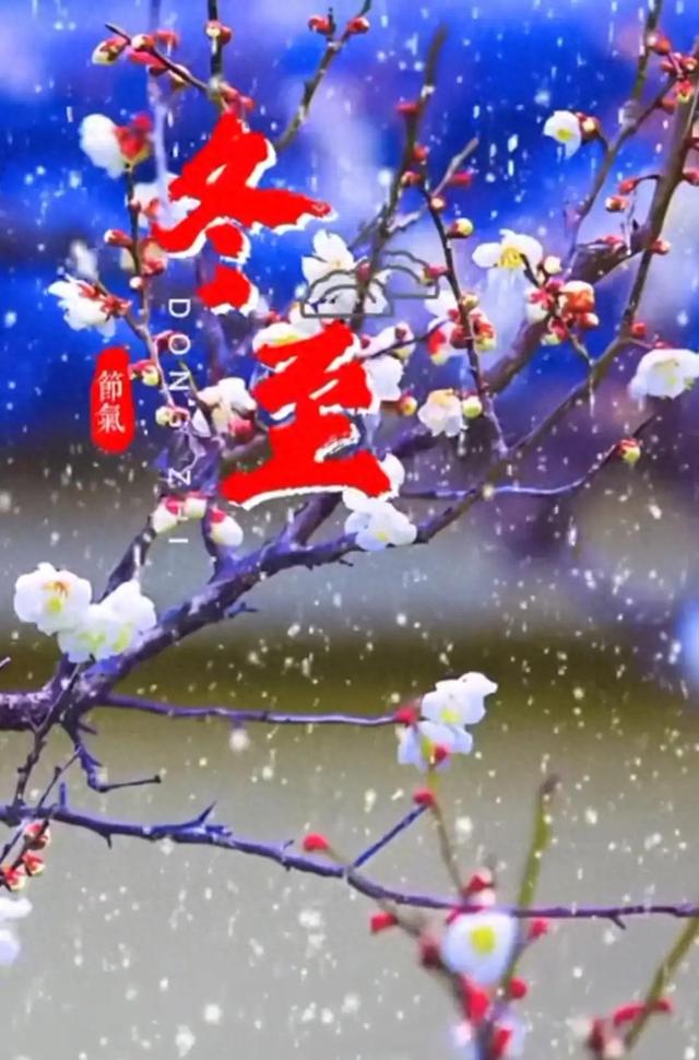 老祖宗的警告：“冬至最怕是晴天”，这可不是迷信