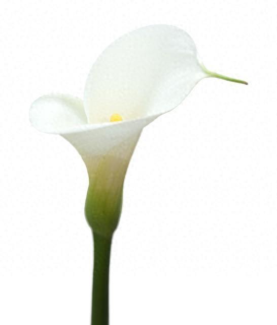 炫酷网名男生特殊符号（看懂男人称呼）