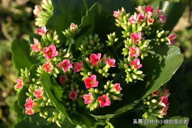 两性关系：男人过65岁，基本上都会有如下现状，具体表现是这样的