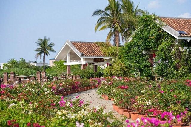 万宁溪边村：邂逅三角梅下的书香悠闲时光