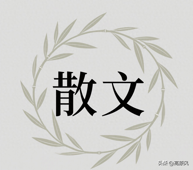 散文｜初访王家院——探见藏于彩林间的初冬秘境