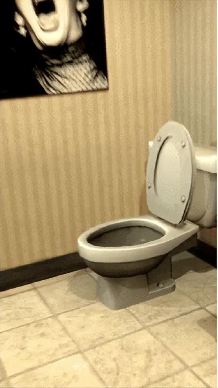 弹跳射手破解版（面对马桶人入侵）