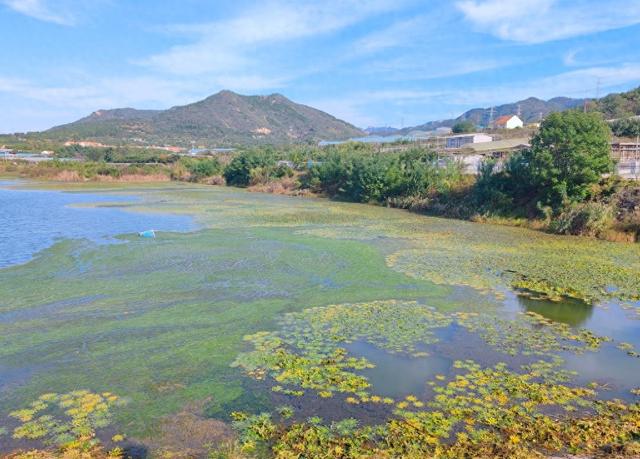 这里的秋色惹人醉